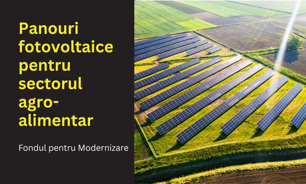 Fonduri pentru sectorul agro-alimentar