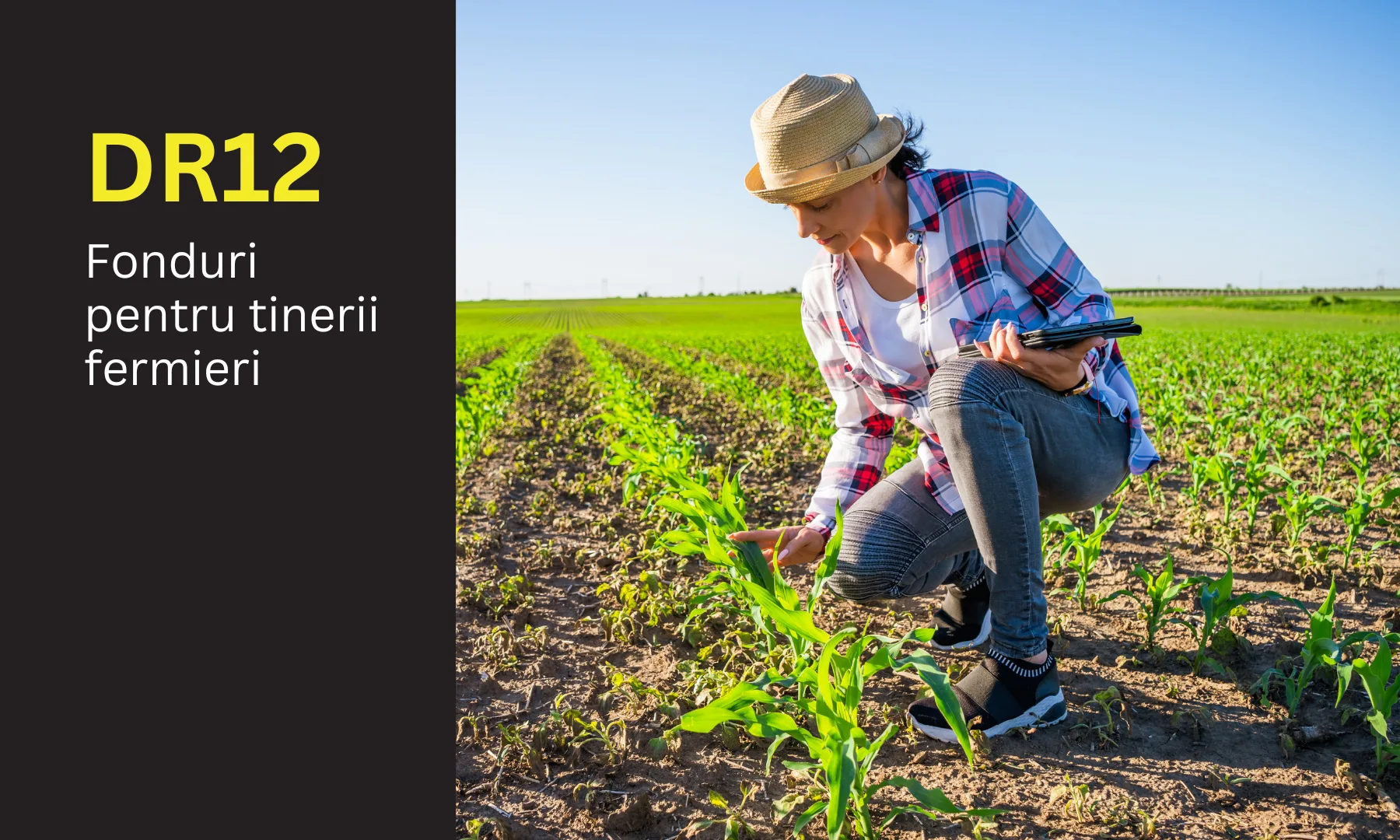 DR-12 în 2026. Fonduri pentru tinerii fermieri