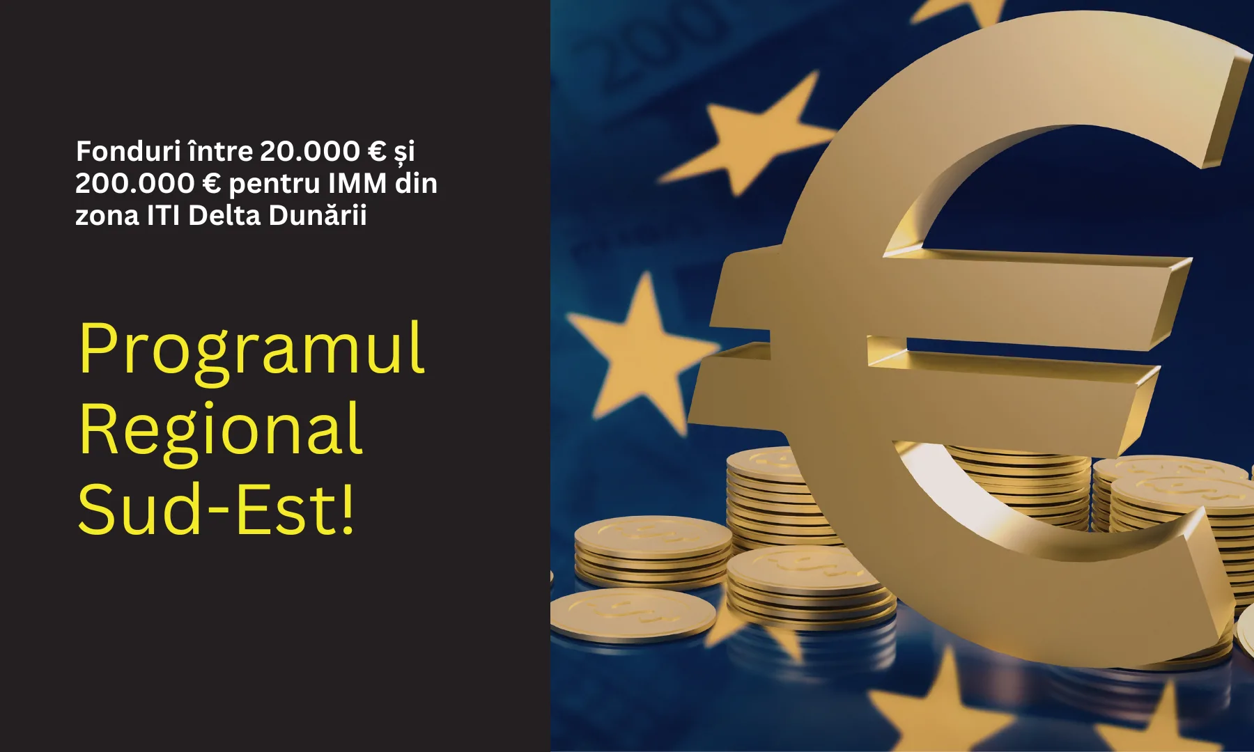 Programul Regional Sud-Est: finanțare de până la 200.000 euro pentru microîntreprinderile din ITI Delta Dunării