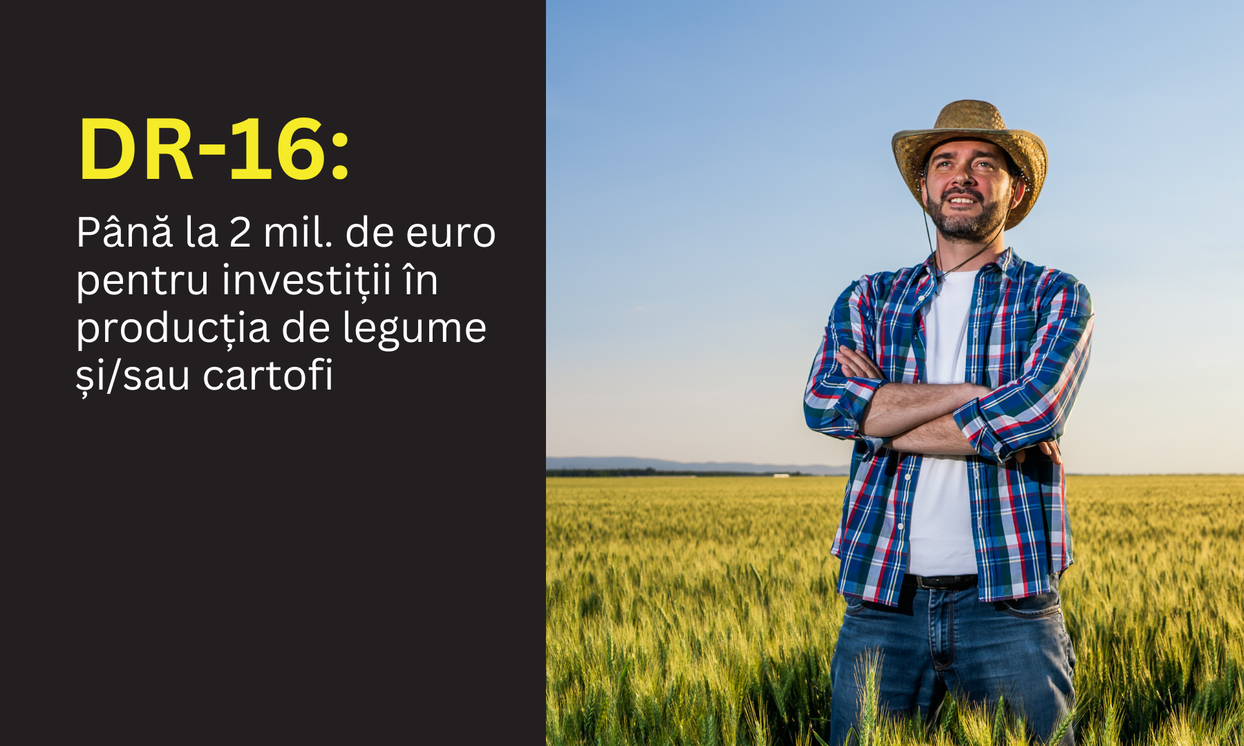 DR-16: Până la 2 milioane de euro pentru investiții în producția de legume și/sau cartofi