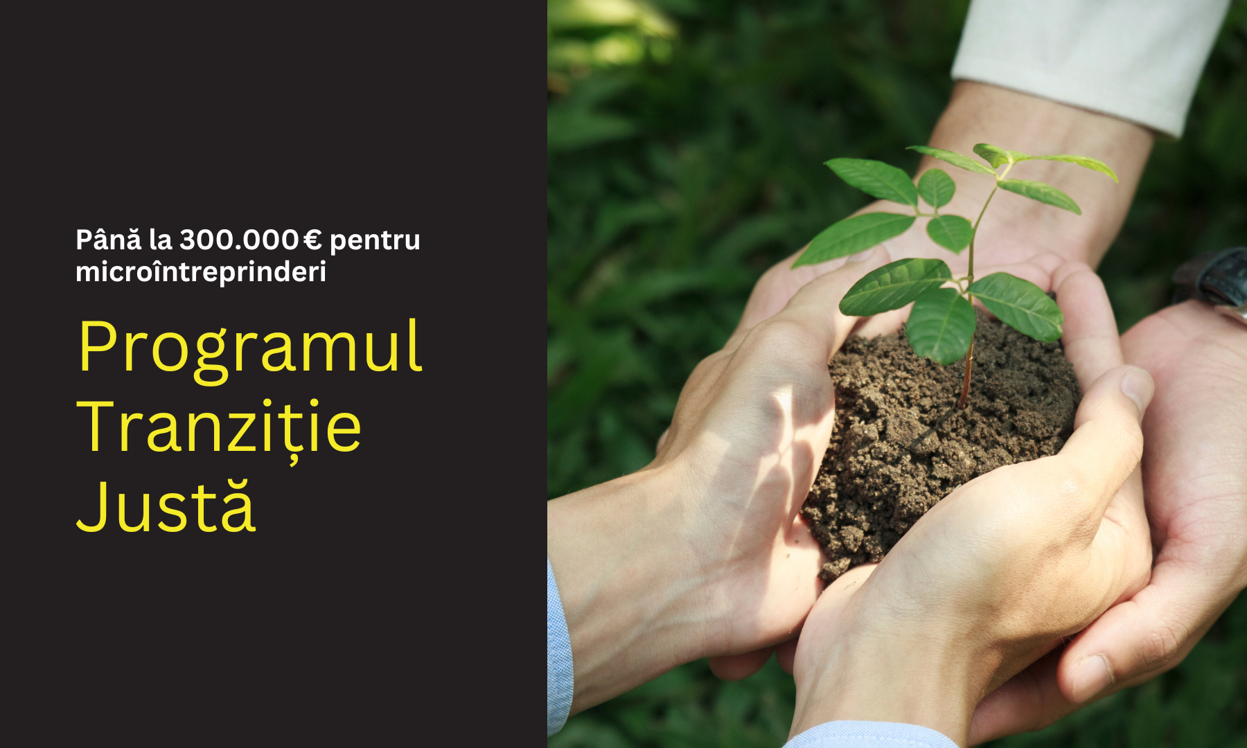 Cum îți crești afacerea cu fondurile de până la 300.000 € din Programul Tranziție Justă?